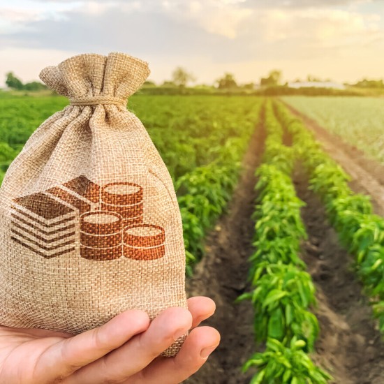 Imagem - Direito do Agronegócio - Reneu Simões & Corrêa - Advogados em Cascavel